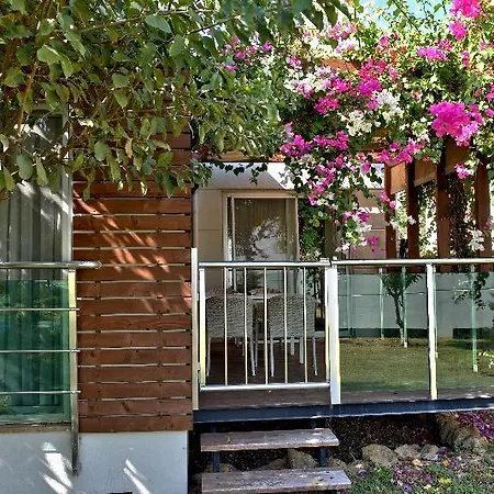 Garden & ألانيا